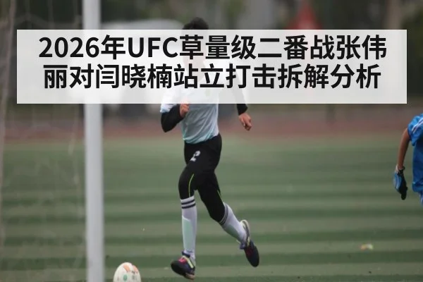 2026年UFC草量级二番战张伟丽对闫晓楠站立打击拆解分析